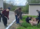 Экологический субботник